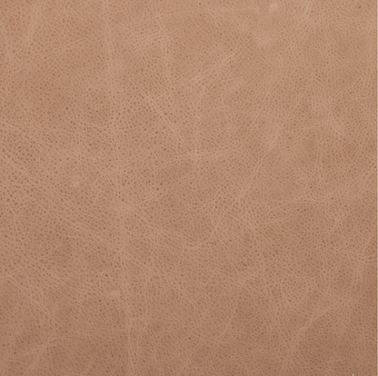 Chasity 84" Top Grain Leather 2 Cushion Sofa - Palermo Nude