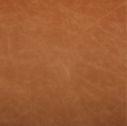 Chasity 84" Top Grain Leather 2 Cushion Sofa - Butterscotch