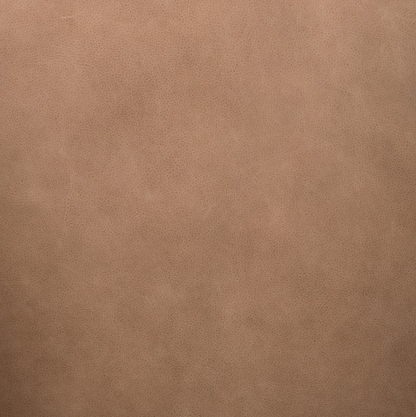 Dasha 29" Top Grain Leather Accent Chair - Palermo Drift