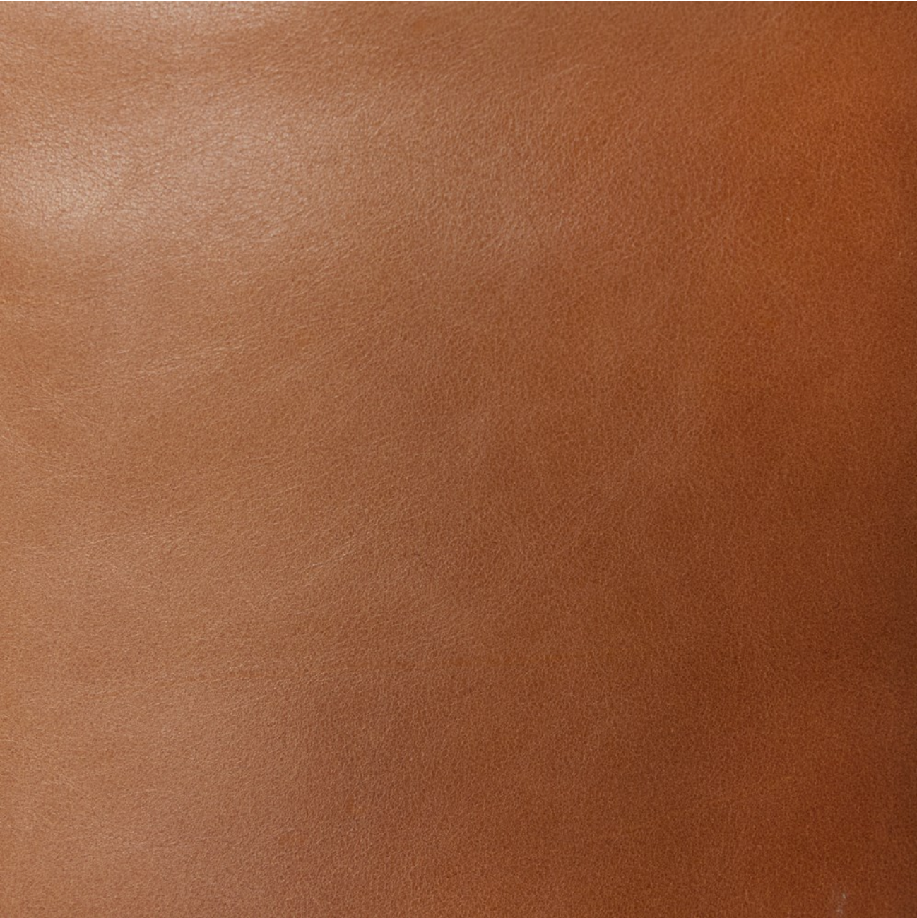 Rhea 45" Top Grain Leather Power Recliner - Butterscotch