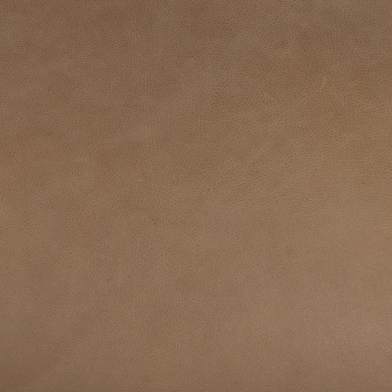 Sawyer 35" Top Grain Leather Accent Chair - Iron + Nude