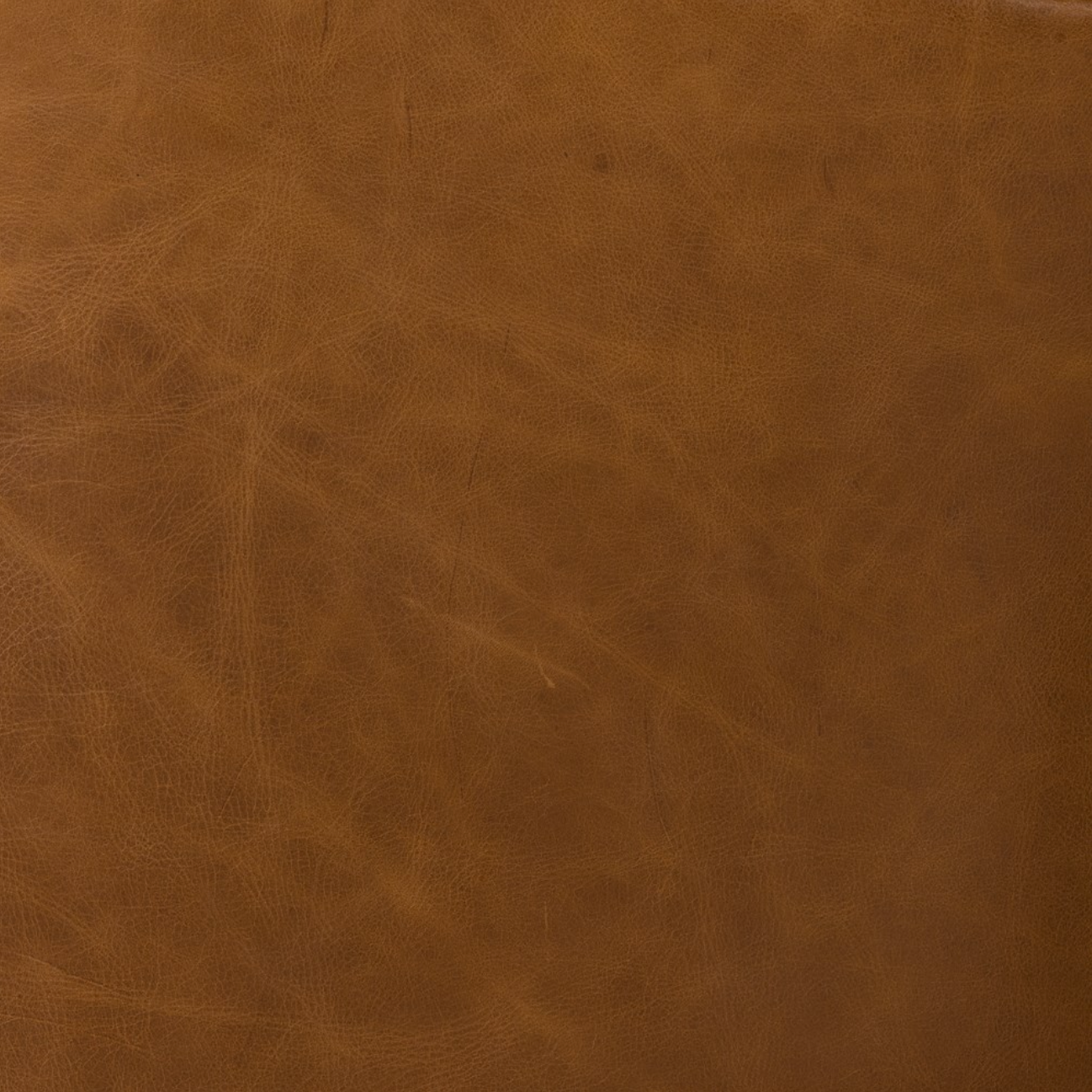 Raddix 27" Top Grain Leather Occasional Chair - Vintage Soft Camel