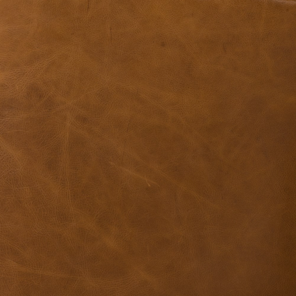 Raddix 27" Top Grain Leather Occasional Chair - Vintage Soft Camel