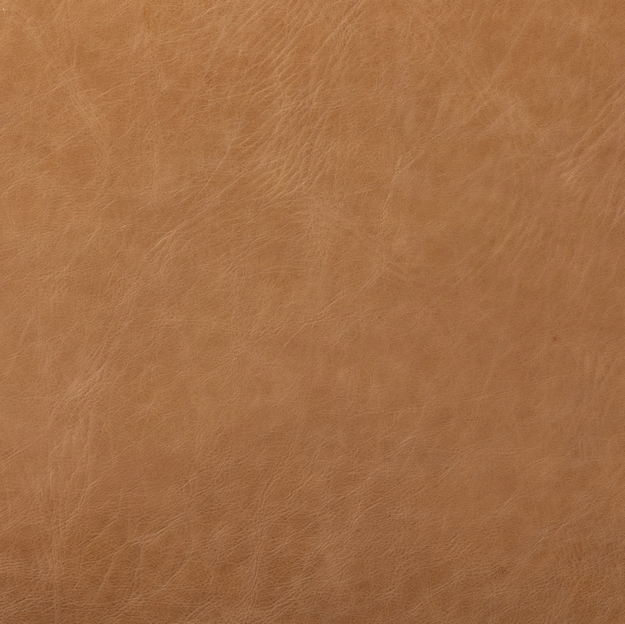 Zander 24" Top Grain Leather Barstool - Sonoma Butterscotch