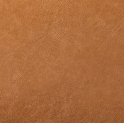 Zander 24" Top Grain Leather Barstool - Sonoma Butterscotch