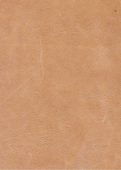 Gretchen Express Ship 89" 2 Cushion Wide Track Arm Top Grain Leather Sofa - Cider