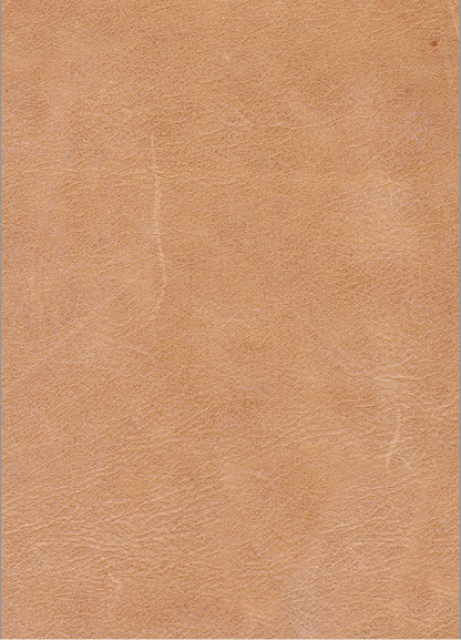 Gretchen Express Ship 48" Top Grain Leather Occasional Chair - Cider