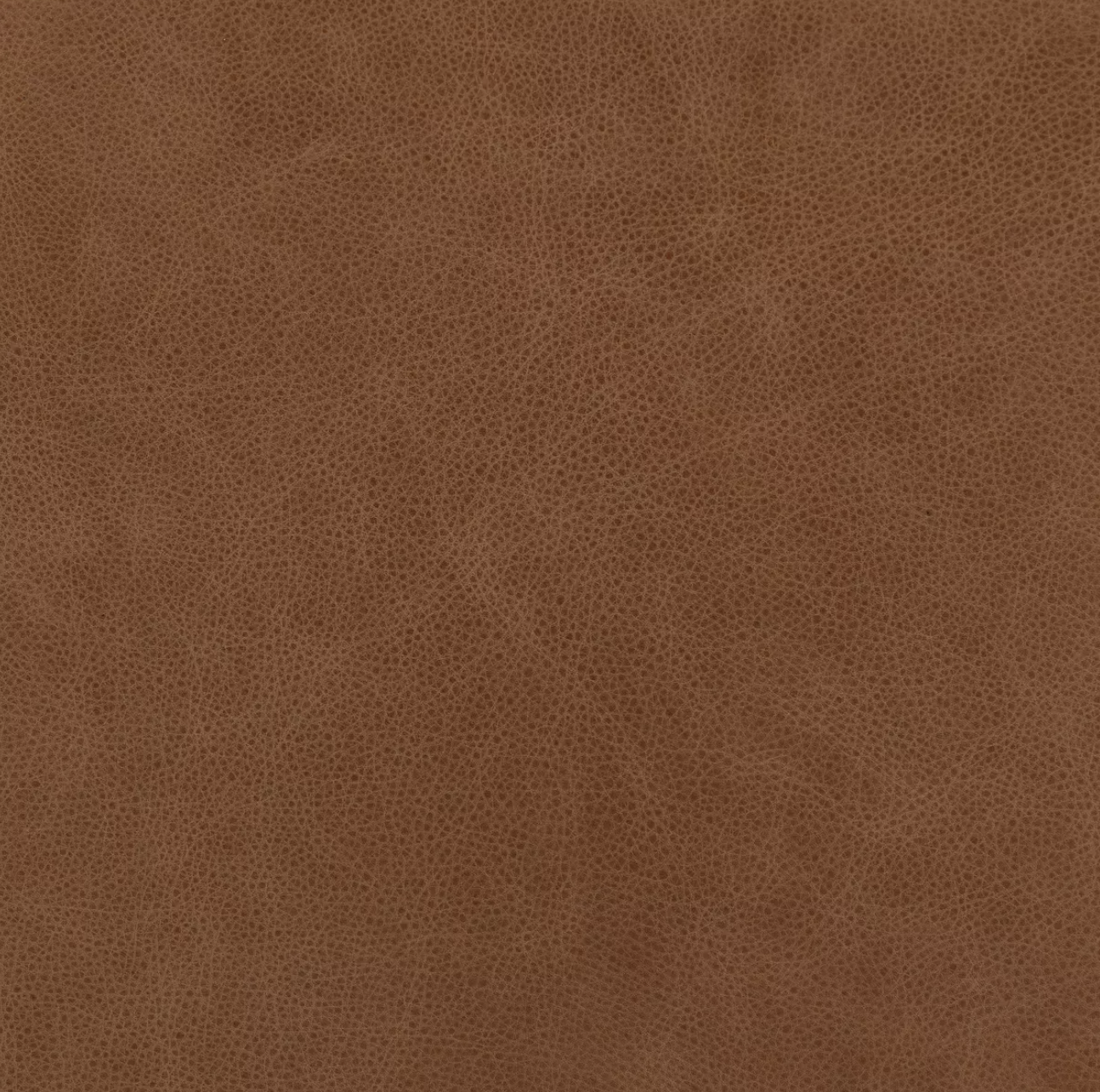 Williamson 97" Top Grain Leather Sofa - Palermo Cognac