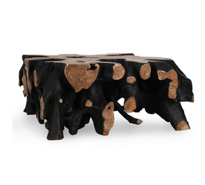 Aurora 40" Root Square Coffee Table - Black Natural