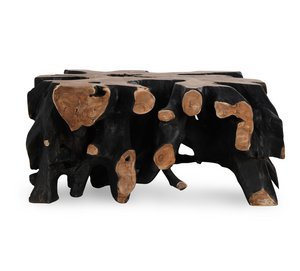 Aurora 40" Root Square Coffee Table - Black Natural