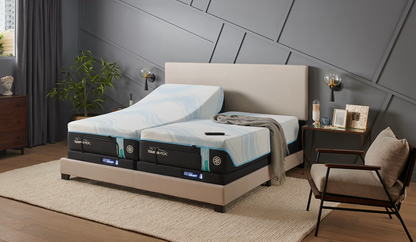 TEMPUR-PEDIC Ergo Pro-Smart Base