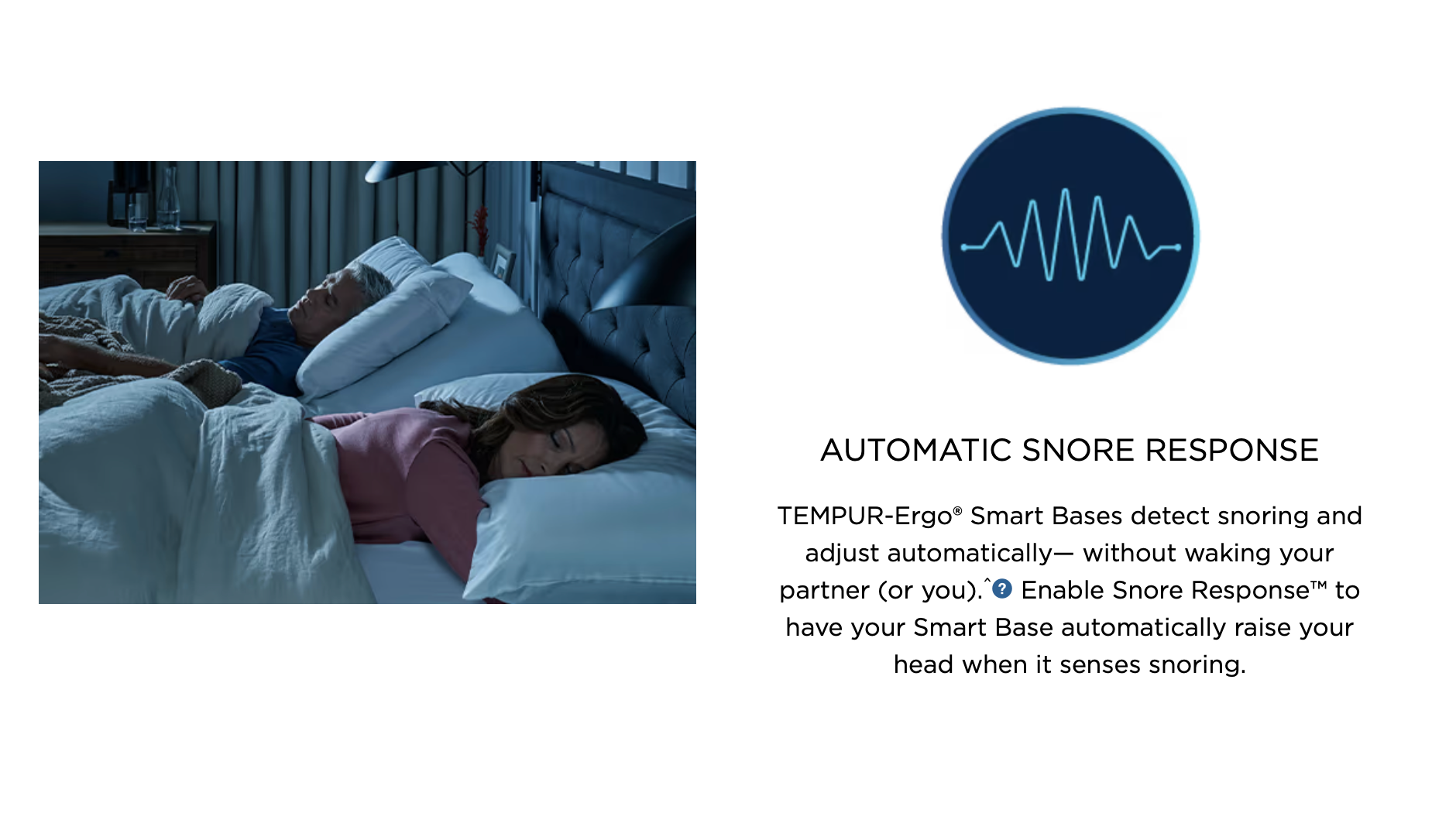 TEMPUR-PEDIC Ergo Power Base