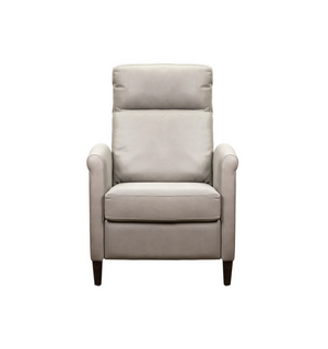 Athena 29" Power Recliner - Light Slate