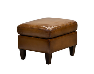 Everest 24" Top Grain Leather Ottoman- Wakefield Earth