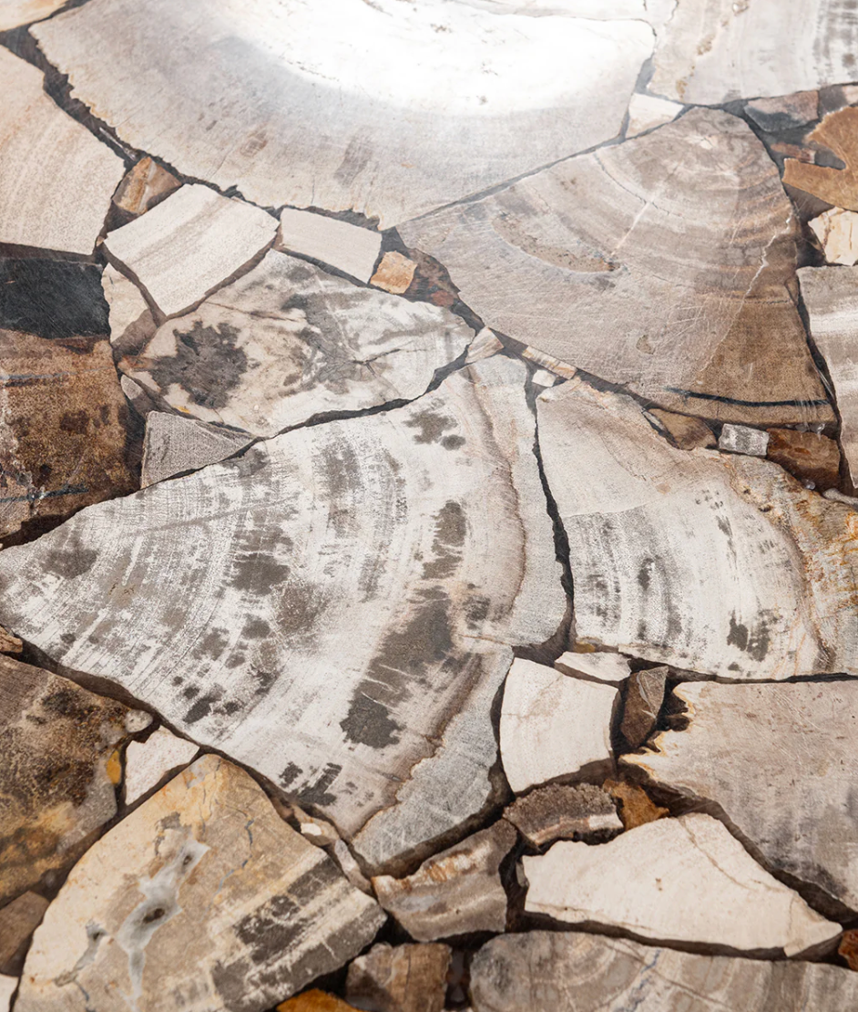 Timber 52" Petrified Teak Console Table