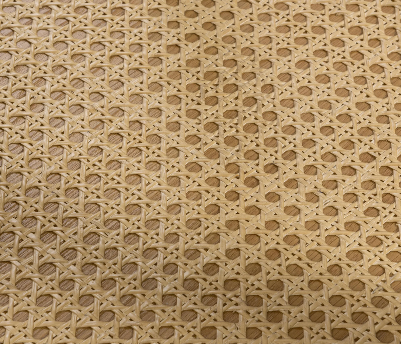 Dabney 22" Round End Table - Oak + Cane