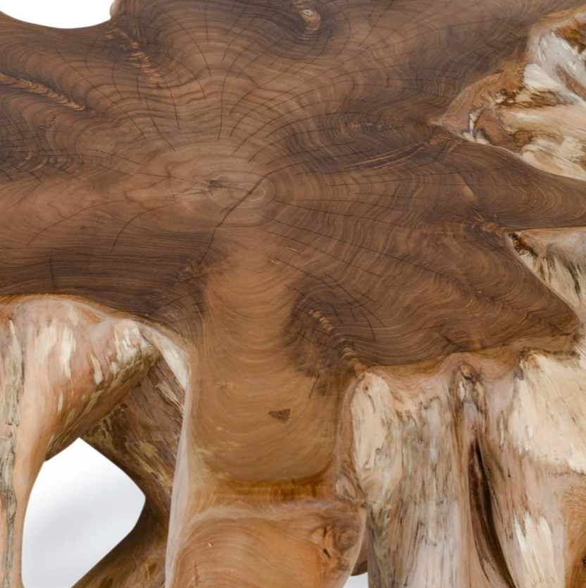 Crete 41" Reclaimed Teak Root Coffee Table - Natural