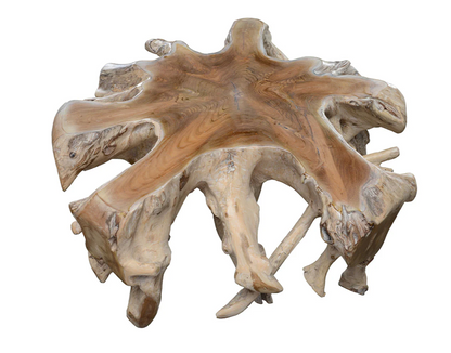 Crete 41" Teak Root Coffee Table - Bleached Natural