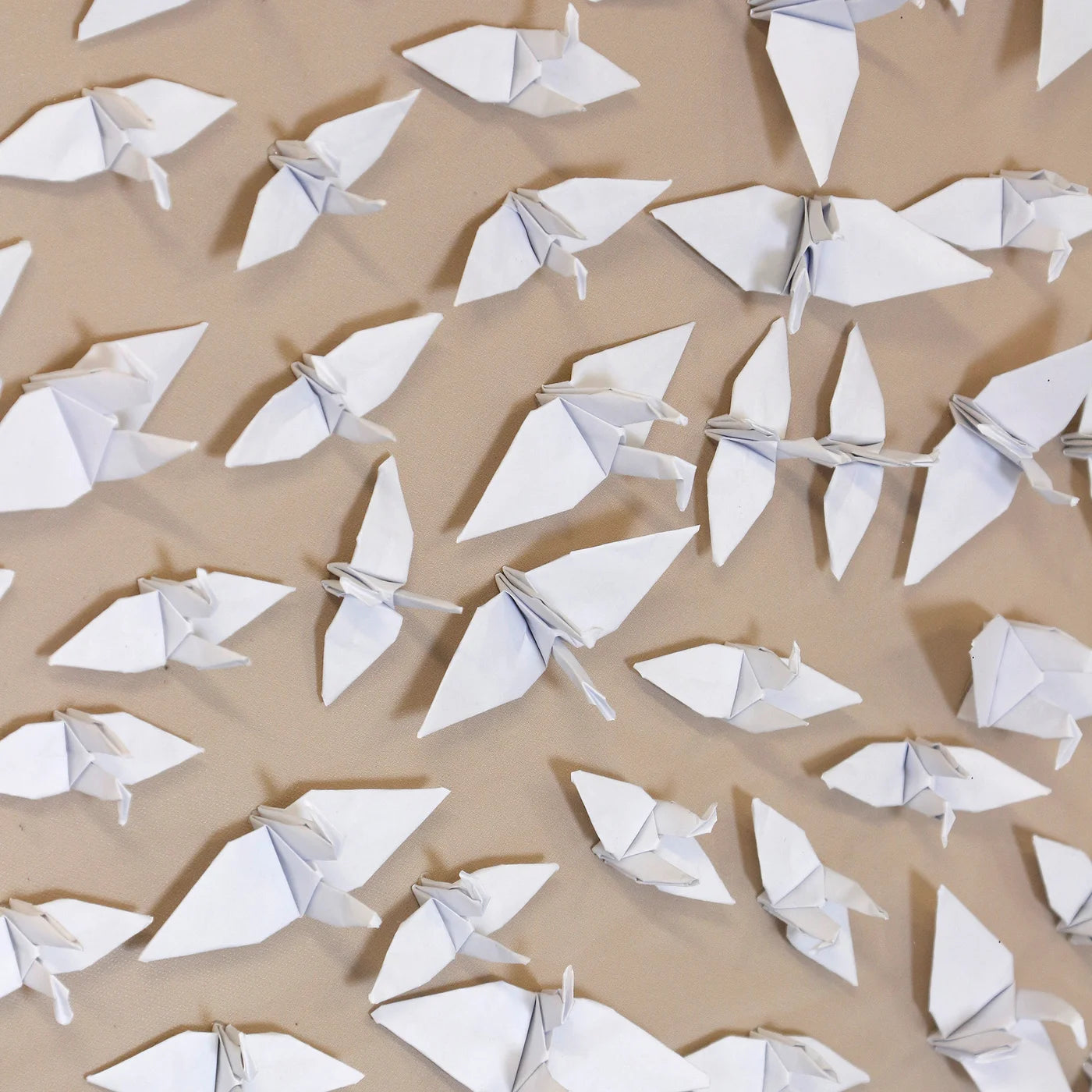 Amari 48" Shadow Box Wall Art