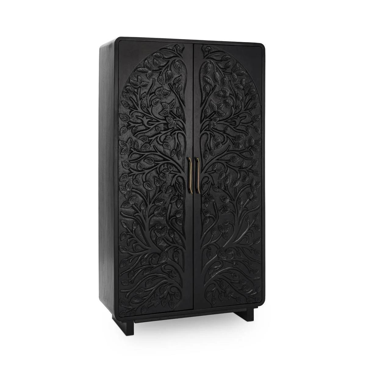 Athens 42" Tall 2 Door Cabinet - Black