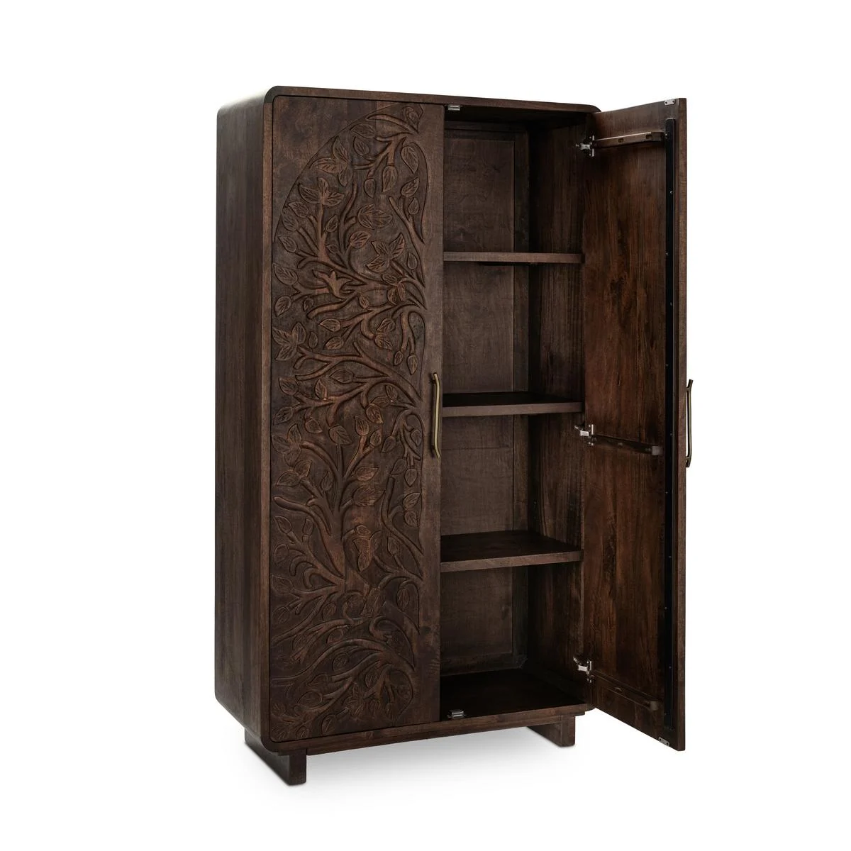 Athens 42" Tall 2 Door Cabinet - Brown