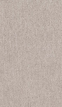 Quick Ship Fabric 2781 - Platinum - Classic Carolina Home
