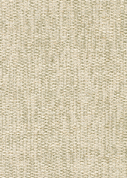 Express Ship Fabric 3110-E - Harvest