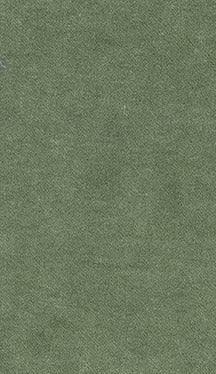 Fabric 3214 - Classic Carolina Home