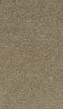 Fabric 3317 - Classic Carolina Home