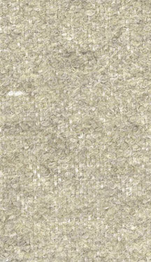 Fabric 3361 - Classic Carolina Home