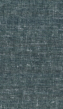 Fabric 3495 - Classic Carolina Home