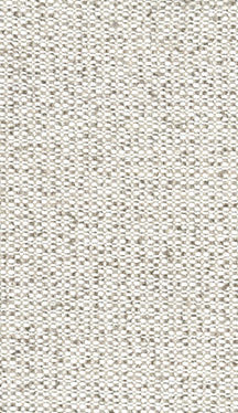 Fabric 3511 - Classic Carolina Home