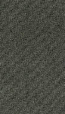 Fabric 9404 - Classic Carolina Home