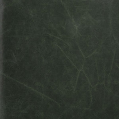 Rhett 76" Top Grain Leather 2 Cushion Sofa - Sage - Classic Carolina Home