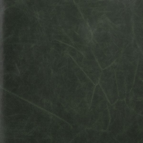 Rhett 76" Top Grain Leather 2 Cushion Sofa - Sage - Classic Carolina Home