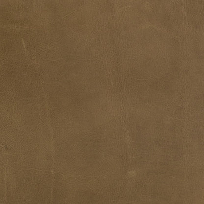 Davos 31" Top Grain Leather Chair - Taupe - Classic Carolina Home