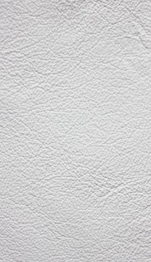 Leather 102 - Classic Carolina Home