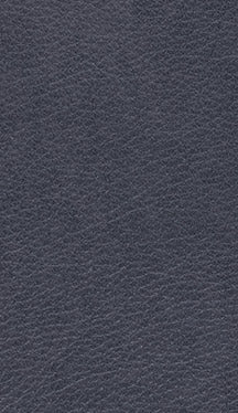 Express Ship Leather 180