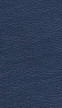 Express Ship Leather 185