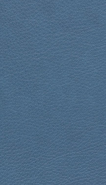 Express Ship Leather 186