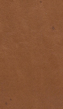 Leather 212 - Classic Carolina Home